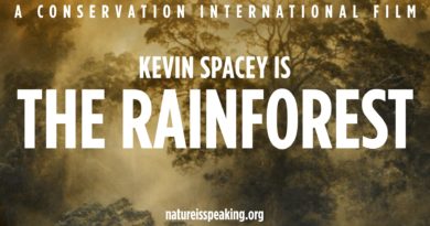 The Rain Forest 3